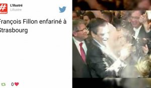 François Fillon enfariné lors d'un meeting à Strasbourg, les internautes se régalent