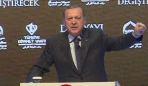 Erdogan : les Pays-Bas "paieront le prix" de leurs actes