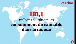 Cannabis : 181,1 millions de consommateurs à travers le monde