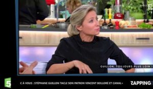 C à Vous : Stéphane Guillon tacle son patron Vincent Bolloré et Canal+ (vidéo)