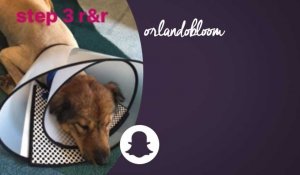 Orlando Bloom sauve un chien abandonné !