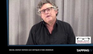 Zemmour et Naulleau : Michel Onfray critiqué, il répond à Eric Zemmour et tacle le programme (Vidéo)