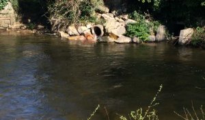 Pollution au beurre dans l'Odet