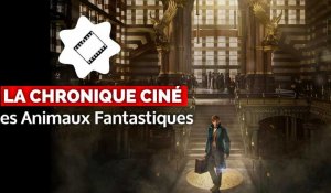 La Chronique Ciné : Les Animaux fantastiques, on y fonce ?