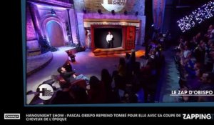Hanounight Show : Pascal Obispo reprend Tombé pour elle avec sa coupe de cheveux de l'époque (vidéo)