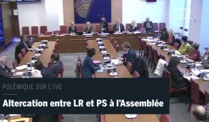 Clash à l'Assemblée entre LR et PS lors d'une commission sur l'IVG