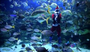 Malaisie: le Père Noël plonge dans l'aquarium de Kuala Lumpur