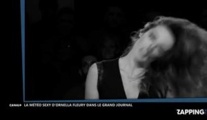 Le Grand Journal : Le sketch sexy d'Ornella Fleury, la miss météo (Vidéo)