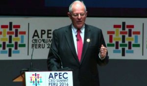 Cérémonie d'ouverture de l'APEC à Lima (2)