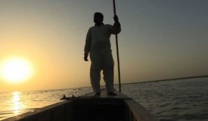 Empoisonné, le plus vaste lac du Pakistan se meurt