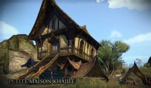 The Elder Scrolls Online : Tamriel Unlimited - Découverte de Homestead