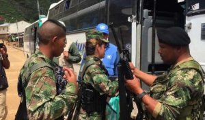 En Colombie, le désarmement des FARC se poursuit