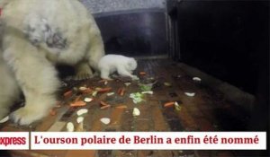 Le petit ourson polaire berlinois a été baptisé