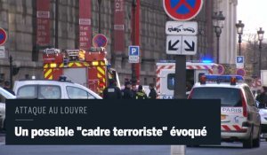 Attaque au Louvre : le préfet de police de Paris évoque un possible "cadre terroriste"