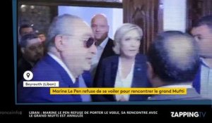 Marine Le Pen refuse de porter le voile au Liban, la vidéo polémique