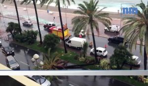 Intempéries: un palmier s'effondre sur la Promenade des Anglais