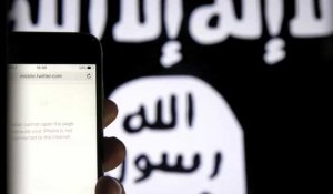 Consulter un site djihadiste ne sera pas interdit
