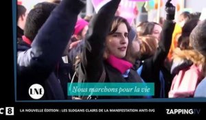 La Nouvelle Édition - Manifestation anti-IVG : des slogans qui font polémiques (vidéo)