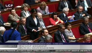 Cécile Duflot chahutée à l'Assemblée pour son retour