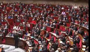 Les députés UMP scandent "Référendum! Référendum!" à l'Assemblée nationale
