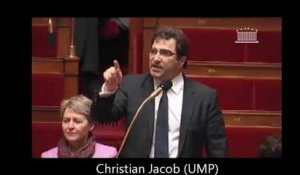 Mariage gay: quand les députés craquent