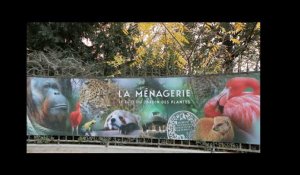 La Ménagerie - Le Zoo du Jardin des Plantes - Paris