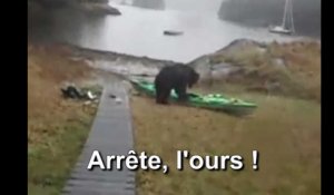 Les internautes auraient préféré que l'ours dévore cette kayakiste
