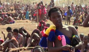 Swaziland: des femmes vierges participent à la Danse des Roseaux