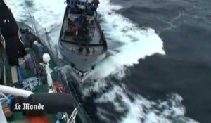 Bataille navale entre écologistes et chasseurs de baleines