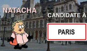 L'élection d'un maire à Paris, Lyon et Marseille (expliquée en patates)