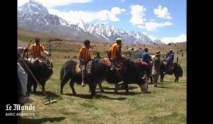Pakistan : à la découverte du polo à dos de yak