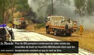 Incendies en Australie : les pompiers dans une course contre la montre