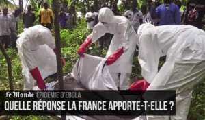 Quel dispositif anti-Ebola la France met-elle en place ?
