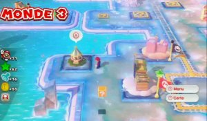 Soluce Super Mario 3D World : Niveau 3-Tampon
