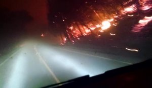 Californie : un automobiliste s'échappe d'un violent incendie