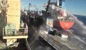 Collision d'un bateau de Sea Shepherd avec un baleinier : les images