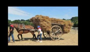 Le Maine Libre - Fête de la moisson à Valennes