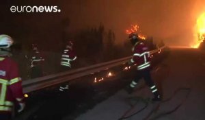 Les feux de forêts continuent de ravager le Portugal
