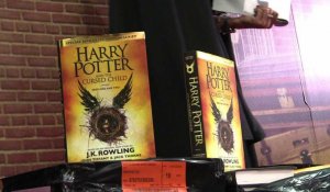 Les fans de la saga « Harry Potter » se ruent sur le dernier livre