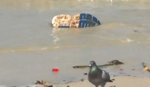 JO 2016 : la pollution des mers, "des crimes environnementaux"