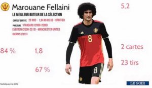 La fiche joueur: Marouane Fellaini