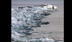 Le phénomène naturel de la glace du Lac Supérieur qui vient se briser contre le bord