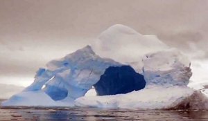 Un iceberg qui réserve une grosse surprise aux touristes