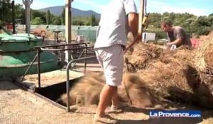 Jouques; la dernière distillerie de lavandin des Bouches-du-Rhône