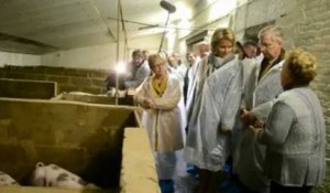 Philippe et Mathilde visitent un élevage de porcs à Jodoigne