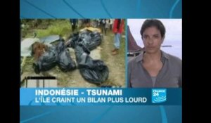 Le bilan du tsunami s'alourdit, les recherches pour retrouver des survivants se poursuivent (France24)
