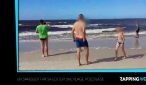 Un sanglier sème la panique sur une plage en Pologne