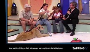 Un lion se jette sur une petite fille à la télévision mexicaine (vidéo)