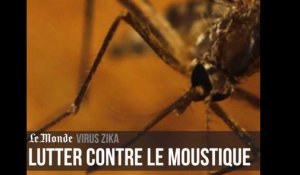 Comment lutter contre le virus Zika ?