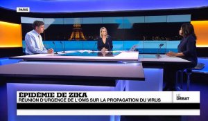 Virus Zika : l'OMS s'attend à 3 ou 4 millions de cas en 2016